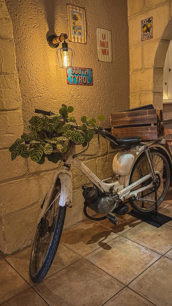 Altes Moped mit Pflanzen vor einer Natursteinwand mit South-Tyrol-Schild